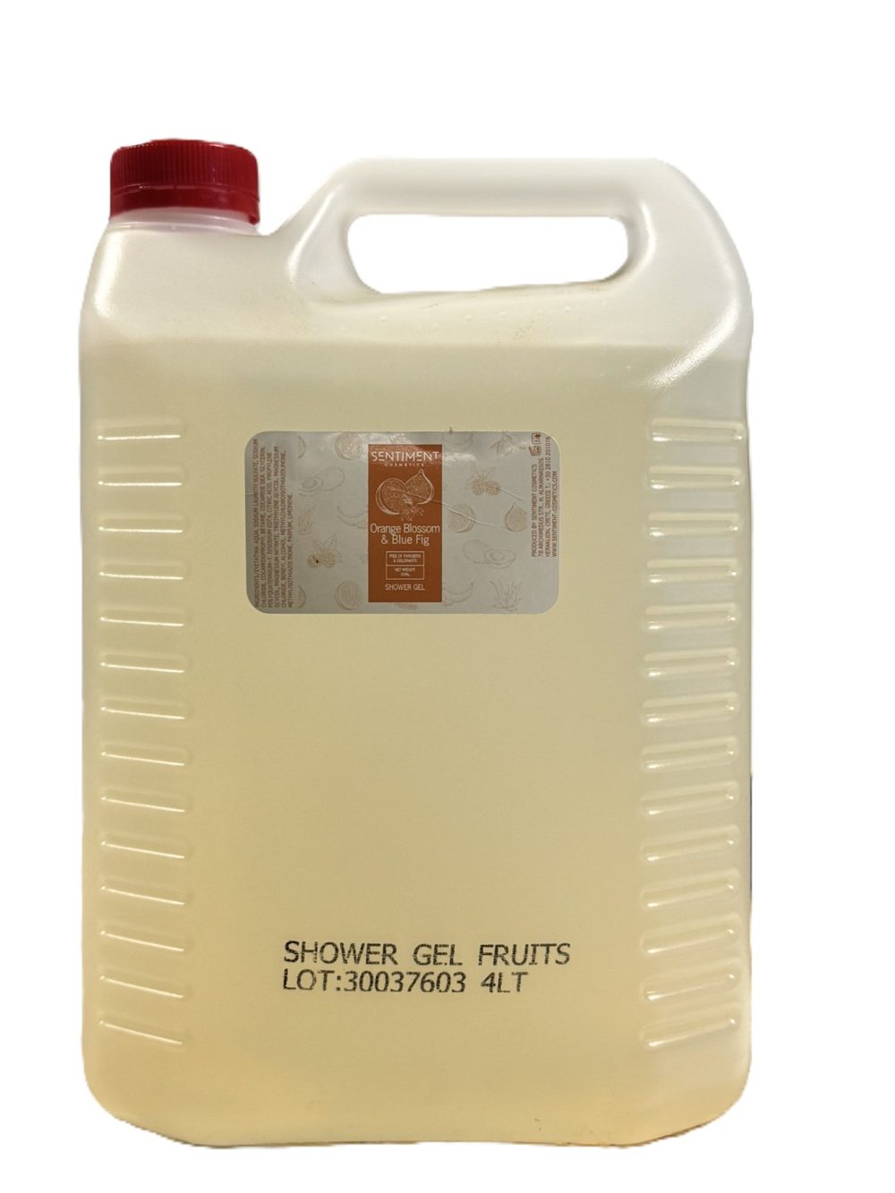 ΑΦΡΟΛΟΥΤΡΟ-SHOWER GEL 4lt