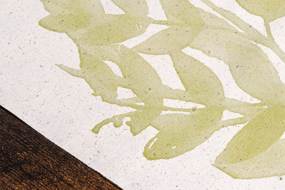 soupla-grass-paper-33x44-aquarella-250tem-2.jpg